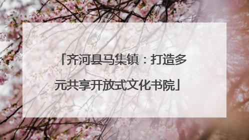 齐河县马集镇：打造多元共享开放式文化书院