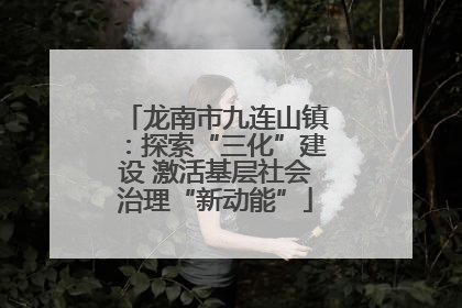 龙南市九连山镇：探索“三化”建设 激活基层社会治理“新动能”