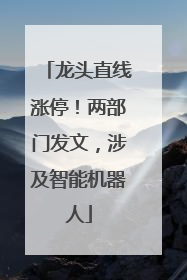 龙头直线涨停！两部门发文，涉及智能机器人