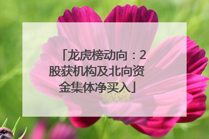 龙虎榜动向：2股获机构及北向资金集体净买入