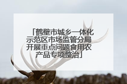 鹤壁市城乡一体化示范区市场监管分局开展重点问题食用农产品专项整治