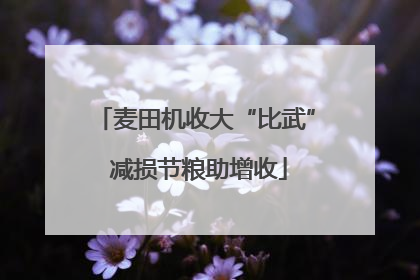 麦田机收大“比武” 减损节粮助增收