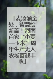 麦浪涌金处，智慧绘新篇！河南首家“小麦—玉米”周年生产无人农场喜迎丰收