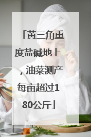 黄三角重度盐碱地上，油菜测产每亩超过180公斤