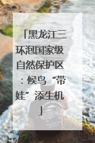 黑龙江三环泡国家级自然保护区：候鸟“带娃”添生机
