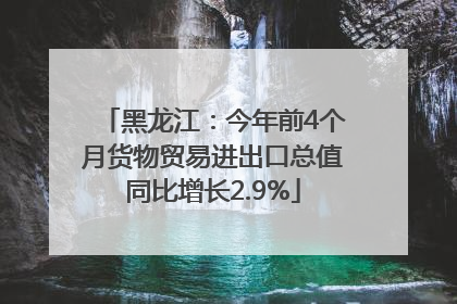 黑龙江：今年前4个月货物贸易进出口总值同比增长2.9%