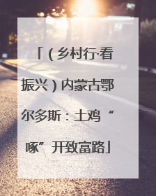 （乡村行·看振兴）内蒙古鄂尔多斯：土鸡“啄”开致富路
