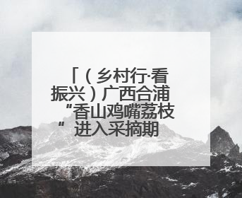 （乡村行·看振兴）广西合浦“香山鸡嘴荔枝”进入采摘期 将与西安“梦幻联动”