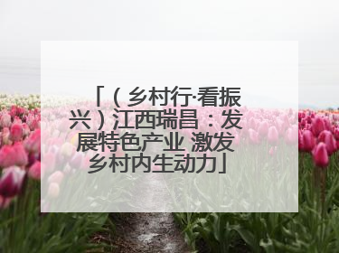 （乡村行·看振兴）江西瑞昌：发展特色产业 激发乡村内生动力