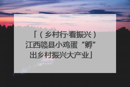 （乡村行·看振兴）江西赣县小鸡蛋“孵”出乡村振兴大产业