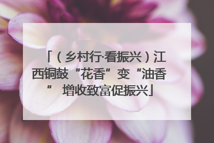 （乡村行·看振兴）江西铜鼓“花香”变“油香” 增收致富促振兴