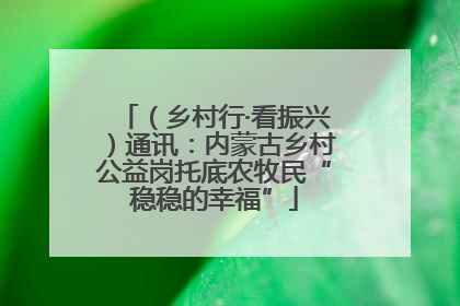 （乡村行·看振兴）通讯：内蒙古乡村公益岗托底农牧民“稳稳的幸福”