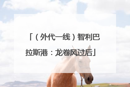 （外代一线）智利巴拉斯港：龙卷风过后