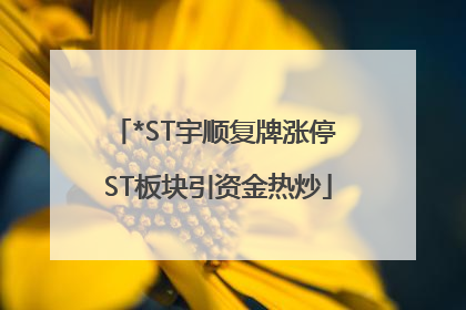 *ST宇顺复牌涨停 ST板块引资金热炒