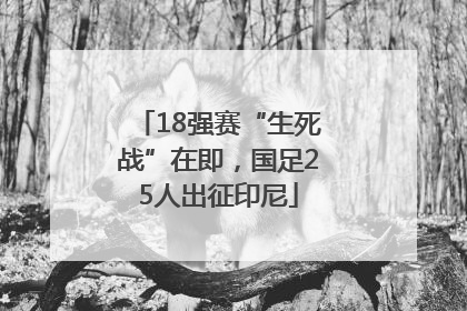 18强赛“生死战”在即，国足25人出征印尼