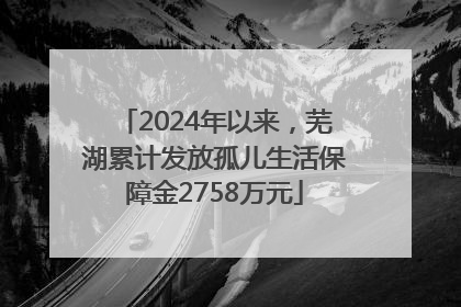 2024年以来，芜湖累计发放孤儿生活保障金2758万元
