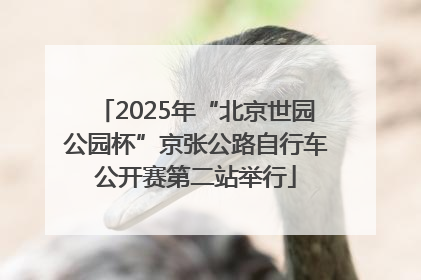 2025年“北京世园公园杯”京张公路自行车公开赛第二站举行