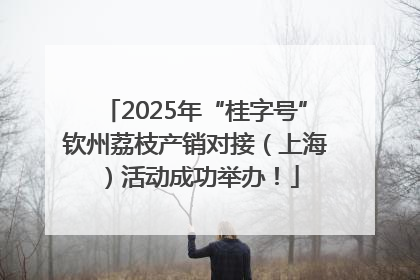 2025年“桂字号”钦州荔枝产销对接（上海）活动成功举办！