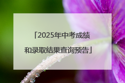 2025年中考成绩和录取结果查询预告