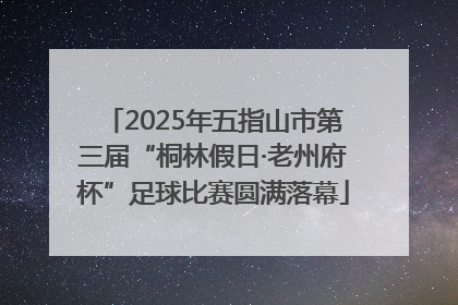 2025年五指山市第三届“桐林假日·老州府杯”足球比赛圆满落幕