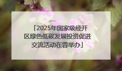 2025年国家级经开区绿色低碳发展投资促进交流活动在蓉举办