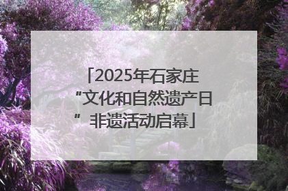 2025年石家庄“文化和自然遗产日”非遗活动启幕