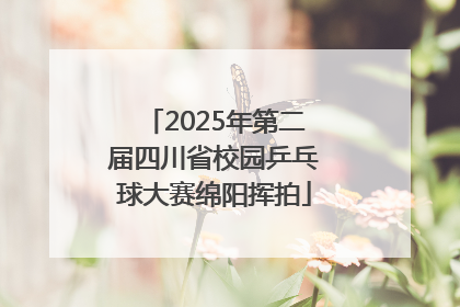 2025年第二届四川省校园乒乓球大赛绵阳挥拍