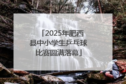 2025年肥西县中小学生乒乓球比赛圆满落幕