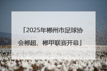 2025年郴州市足球协会郴超、郴甲联赛开幕