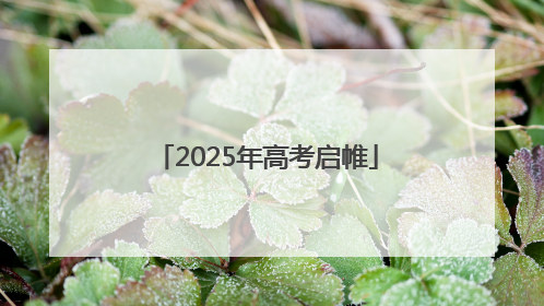 2025年高考启帷
