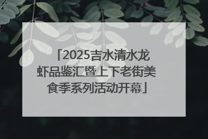 2025吉水清水龙虾品鉴汇暨上下老街美食季系列活动开幕