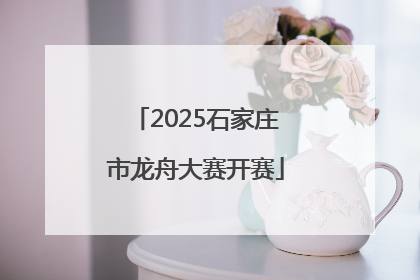 2025石家庄市龙舟大赛开赛