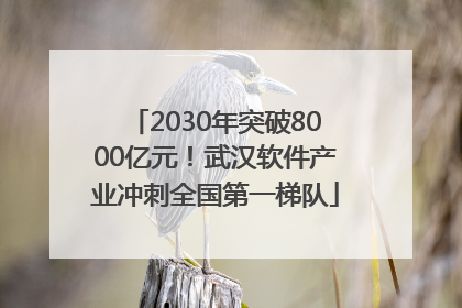 2030年突破8000亿元！武汉软件产业冲刺全国第一梯队