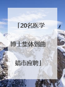 20名医学博士集体到曲靖市应聘