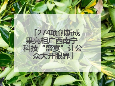 274项创新成果亮相广西南宁 科技“盛宴”让公众大开眼界
