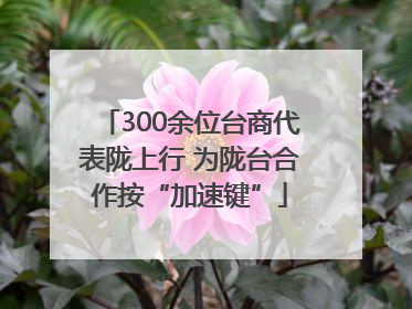 300余位台商代表陇上行 为陇台合作按“加速键”