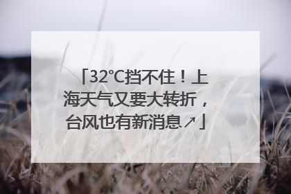 32℃挡不住！上海天气又要大转折，台风也有新消息↗