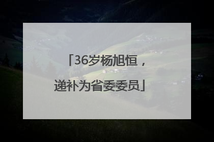 36岁杨旭恒，递补为省委委员