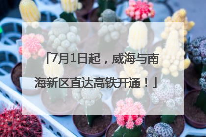 7月1日起，威海与南海新区直达高铁开通！