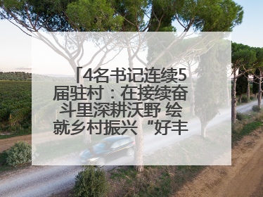 4名书记连续5届驻村：在接续奋斗里深耕沃野 绘就乡村振兴“好丰景”——浦发银行南京分行助力脱贫攻坚、帮促乡村振兴记事（二）