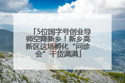 5位国字号创业导师空降新乡！新乡高新区这场孵化“问诊会”干货满满