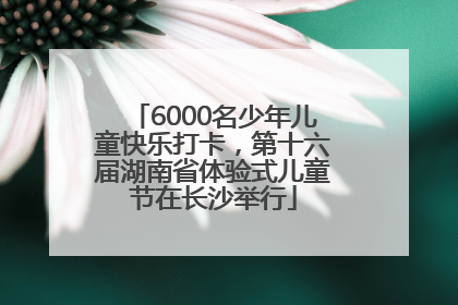 6000名少年儿童快乐打卡，第十六届湖南省体验式儿童节在长沙举行