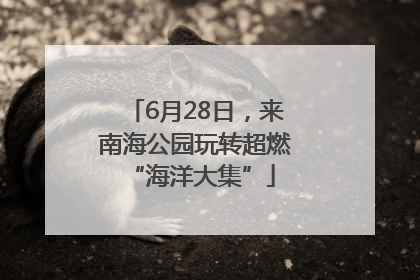 6月28日，来南海公园玩转超燃 “海洋大集”