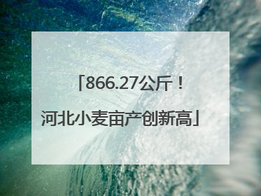 866.27公斤！河北小麦亩产创新高